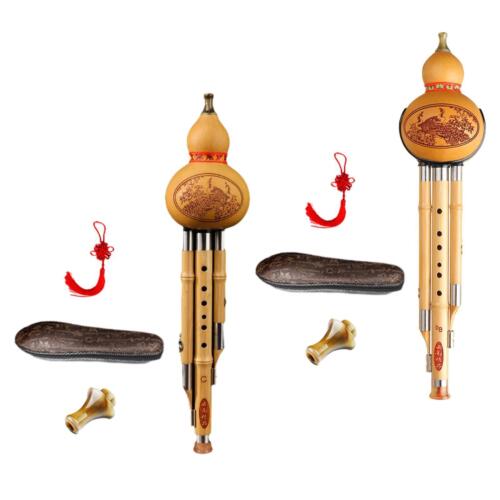 Hulusi-Flöteninstrument, traditionelles Holzblasinstrument für Showübungen - Afbeelding 1 van 20