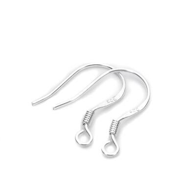 Sterling Silber Fisch Haken Ohrring Drähte Ohrringe Haken Fundstücke Ohr