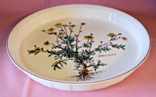 VILLEROY BOCH V&B Botanica Anthemis tinctoria Tarteform Ø30 H3,8 cm Rd gl 21852