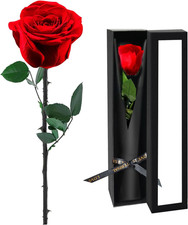 Preserved Flowers for Delivery,Red Rose Bouquets That Last 5 Years,Birthday Flow