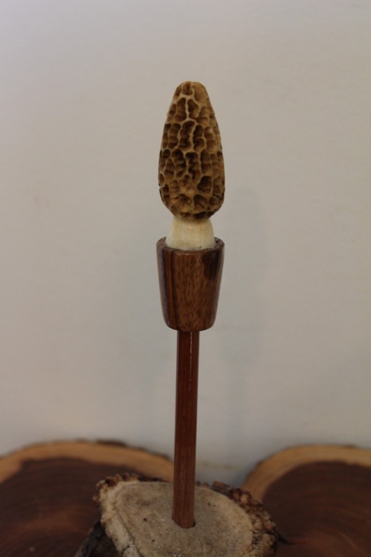 Custom Made Whitetail Deer Antler Morel Turkey Round Tip Pot Striker
