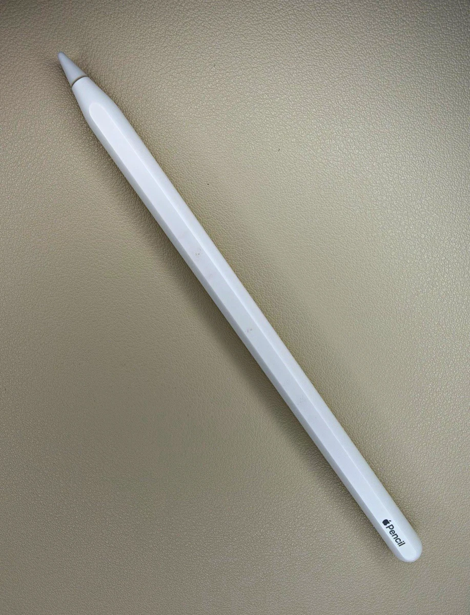 25+ Apple Pencil (1st Generation) Tablet & eReader Styluses for