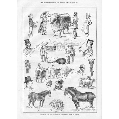 CARDIFF Scenes at Bath & West of England Agricultural Show - Antique Print 1882