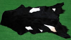 GOAT Western taxidermy Hide Rug Natural Pattern Fur Goat Hide Rode SA-948
