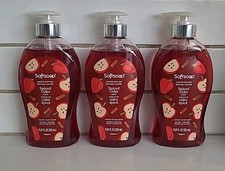 3 SOFTSOAP Limited Edition SPICED CIDER Moisterizing Hand Soap 11.25oz B3-G16