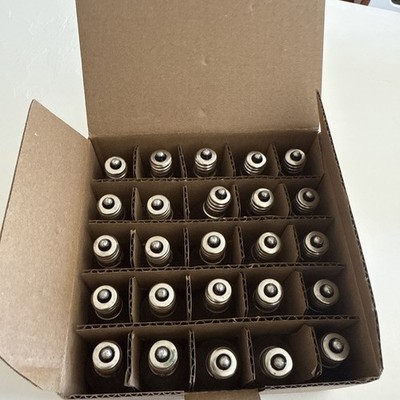 Light Bulbs C7, 5 Watt, 120v, Bulbs Clear, 25 Pack