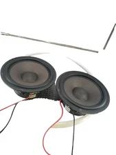 2 Silver Flute W20RC38-S 8" Woofers  8 OHM