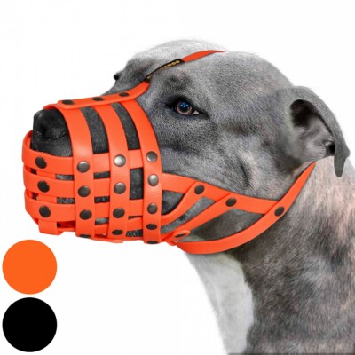 basket muzzle