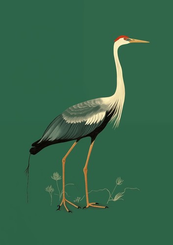 Beautiful Crane Bird Poster Wall Art Print Picture A3 A4 A5 - Picture 3 of 7