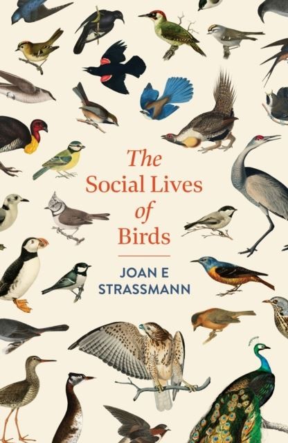 The Social Lives of Birds by Joan E. Strassmann Paperback