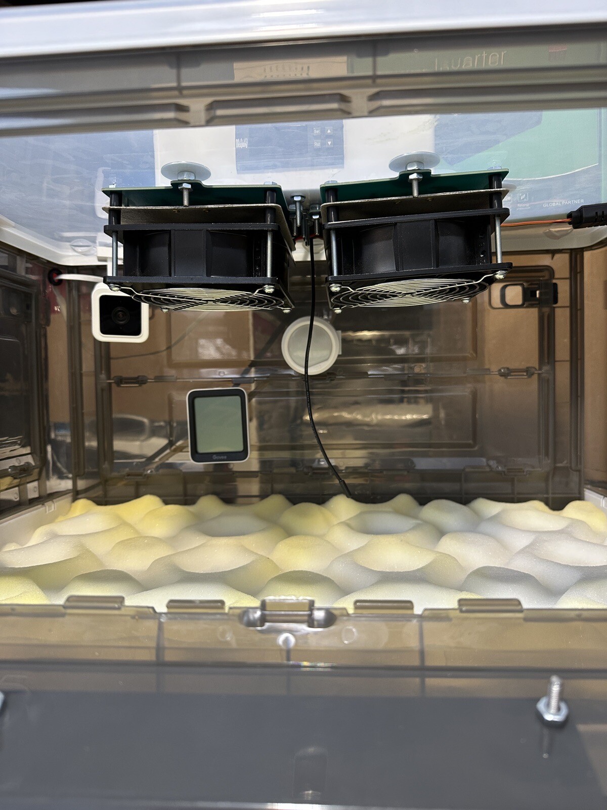 incubator for puppies eBay