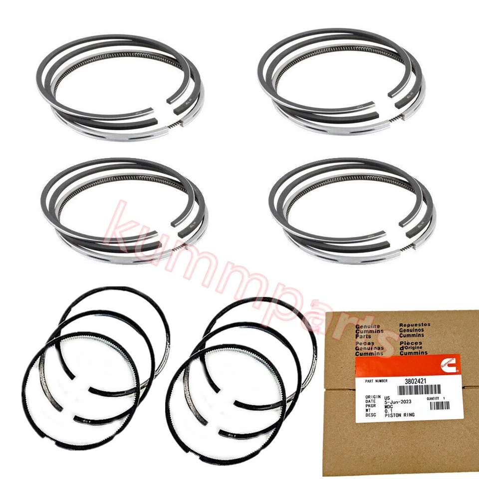 Anéis de pistão padrão 3802421 89-98 Dodge Cummins 6B 6BT 5.9 12V STD EUA MELHOR - Imagem 2 de 4