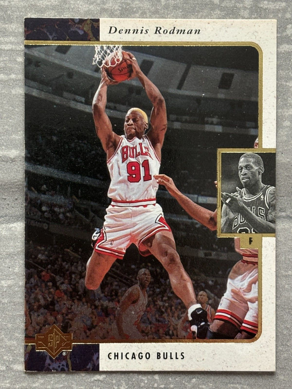 96-97 SP Dennis Rodman Jordan shadow card - Michael Jordan Cards