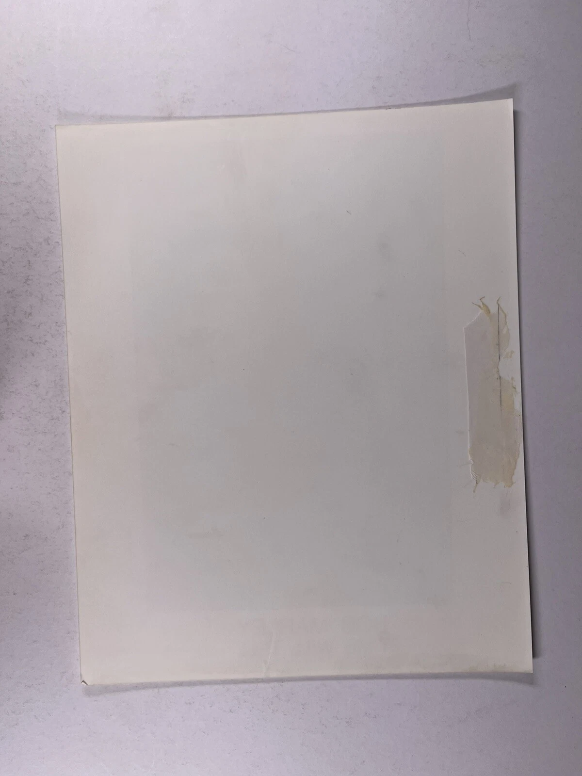 Bob Marley フォトオリジナル 白黒プレスプロモーション 1980 年代頃 - 画像2/12