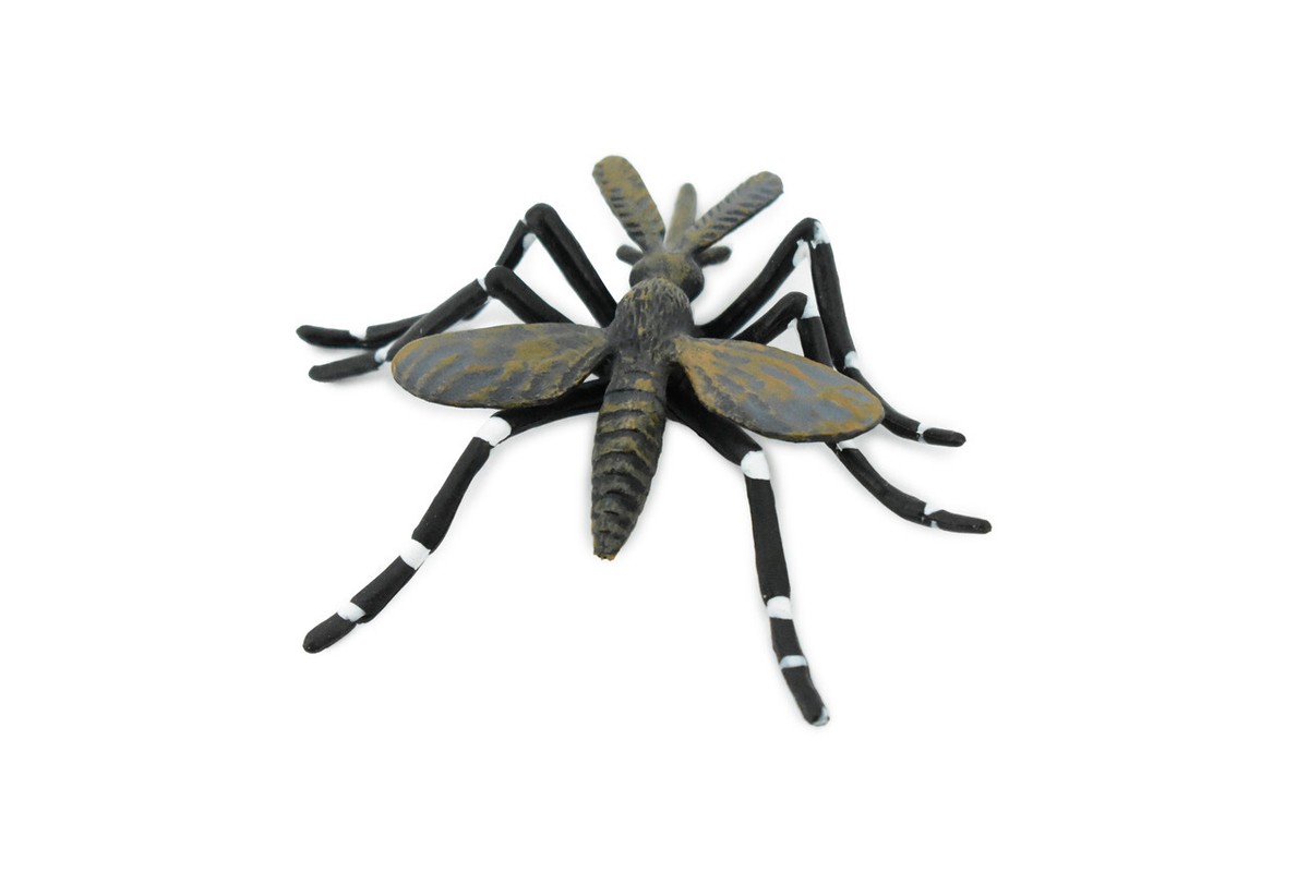 Mosquito, Realistic Toy Figure, Model, Replica, Educational Bug 3