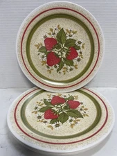 Retro Vintage NHP Artisan Ware Strawberry Melamine Plates Set Of 4 1970s