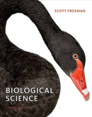 Biological Science (4th Edition) - Hardcover By Freeman, Scott - GOOD