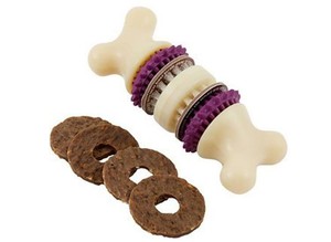 petsafe bristle bone