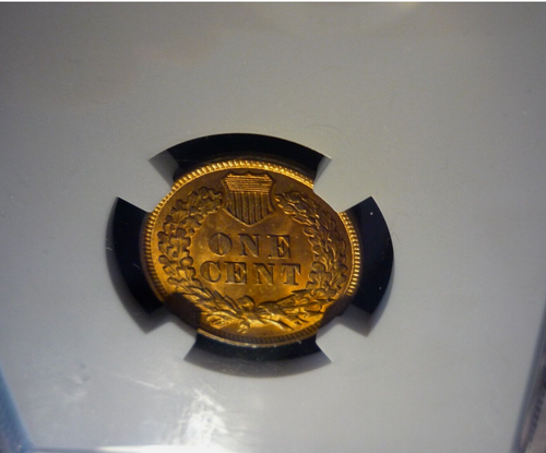 :1895 1C INDIAN PRINCESS CENT NEAR GEM NGC MS64RB MUCH RED RARITY R4 HIGH-GRADES - Picture 6 of 9
