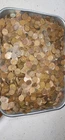5000 Wheat Pennies Cents CULLS