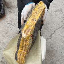 58.42LB Rare Natural Raw Siberia Bumblebee Jasper Rough Crystal Mineral Specimen