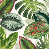 20 Servietten Exotic Leaves Variationen DschungelbläTter Tropisch Natur 33X33Cm