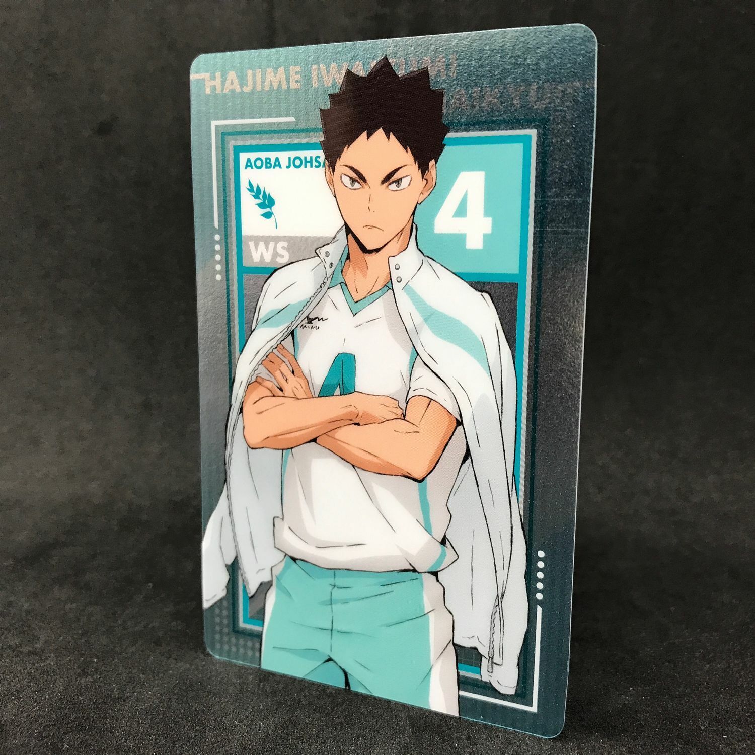 Haikyuu To The Top Shikishi Hajime Iwaizumi Art Board Visual Collection  Vol.4