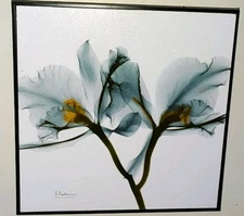 Framed Floral Print- "Orchid Blue" by Albert Koetsier