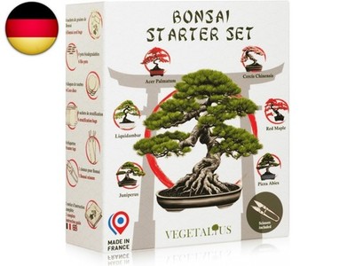 Komplettset mit 6 Bonsai mit Samen & Zubehör   hergestellt in Frankreich   o