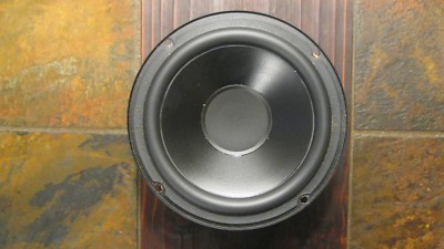 polk audio rti 100