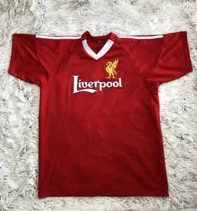 fernando torres liverpool jersey