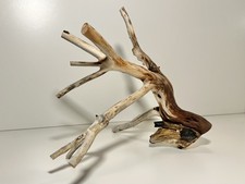 Manzanita Driftwood, Reptile Tank Decor, Aquascape, Terrarium, Aquarium Wood