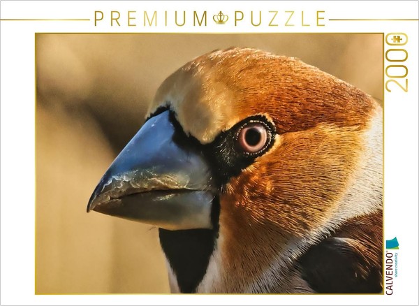 Calvendo Puzzle Portrait Of A Hawfinch | 2000 Pieces, Finished Size 35.4 × 26.4-image