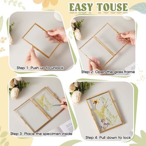 2 Pcs 4 x 6 Glass Pressed Flower Frame Gold Brass Clear Double Glass Floating... - Picture 4 of 7