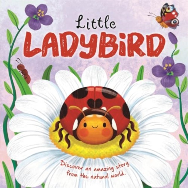 Little Ladybird by Autumn Publishing (Board book)