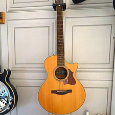 Ibanez EW20 wne- nt exotic wood electroAcoustic guitar
