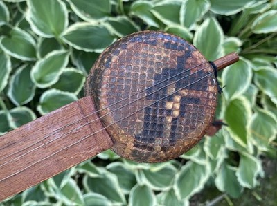 VTG Sanxian Chinese 3-String Lute Guitar Shamisen, Sanshin | eBay