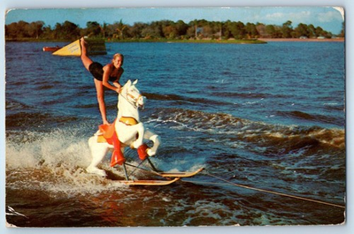 #ad #ad 1959 Sarasota Florida FL Vintage Postcard Skiing Sunshine Springs Gardens Posted $29.95