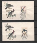 T3481  Argentina  1964   birds   unaddressed   FDC's