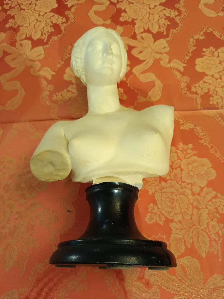 Elegante busto Venere Di Milo in polvere di marmo, stile classico - Immagine 4 di 4