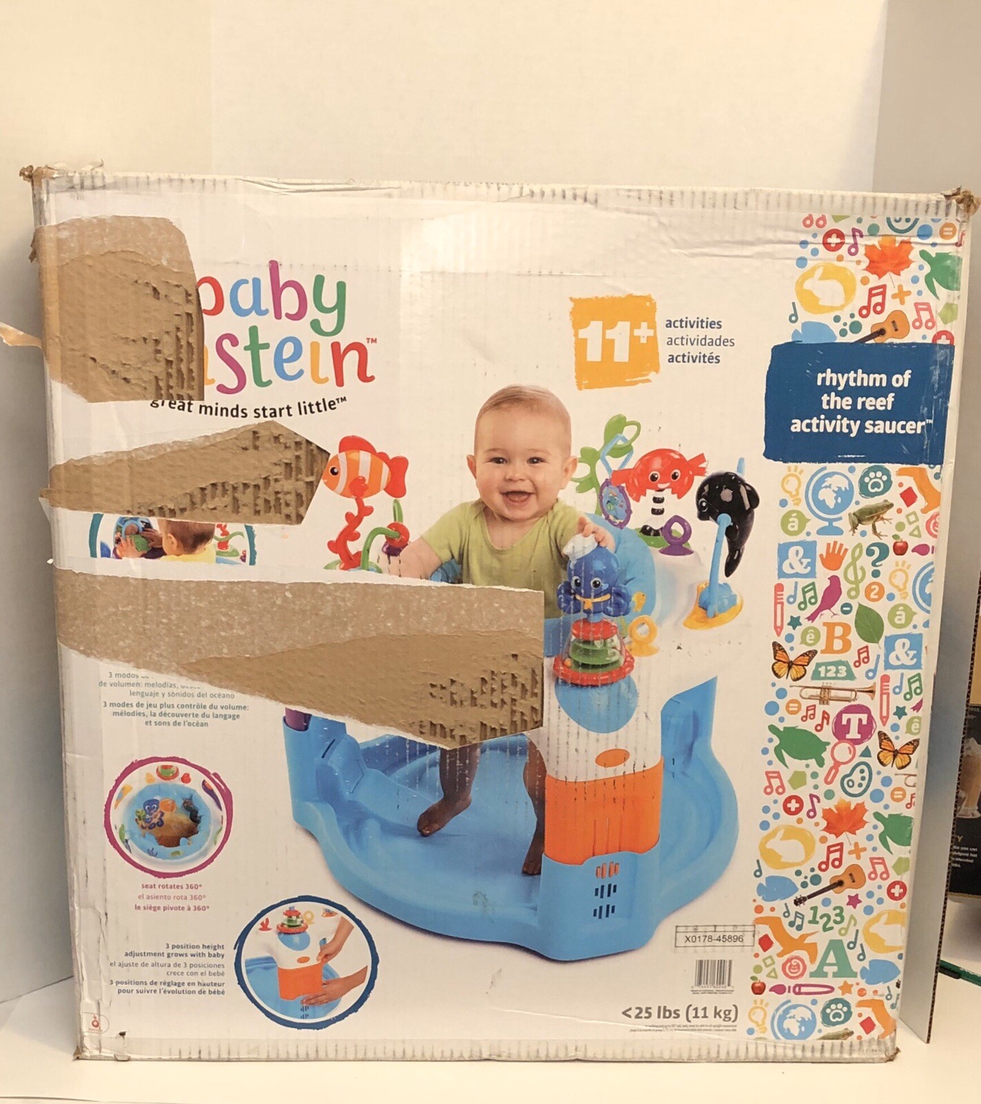 rhythm of the reef activity saucer