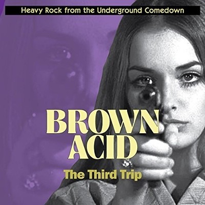 Various Artists - Brown Acid: Third Trip (Various Artists) [New Vinyl LP]