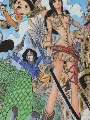 One Piece 3D Poster Board Western Version Official Original Japan