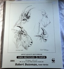 NEW Robert Bateman Marker Paper Pad - 14