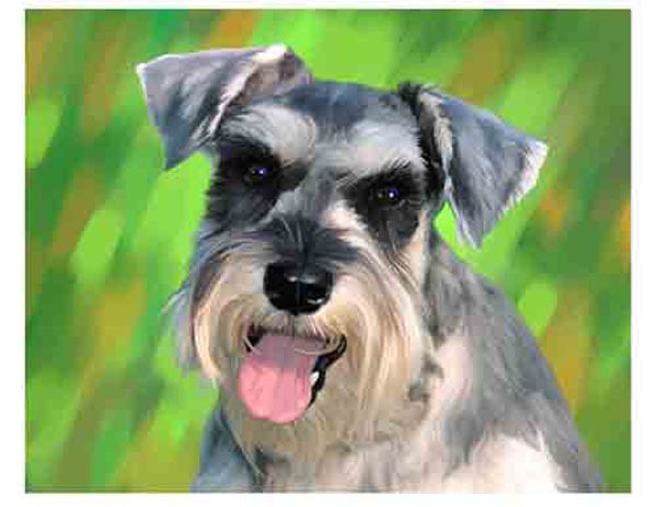 artav Schnauzer Art Print of Watercolor Paint