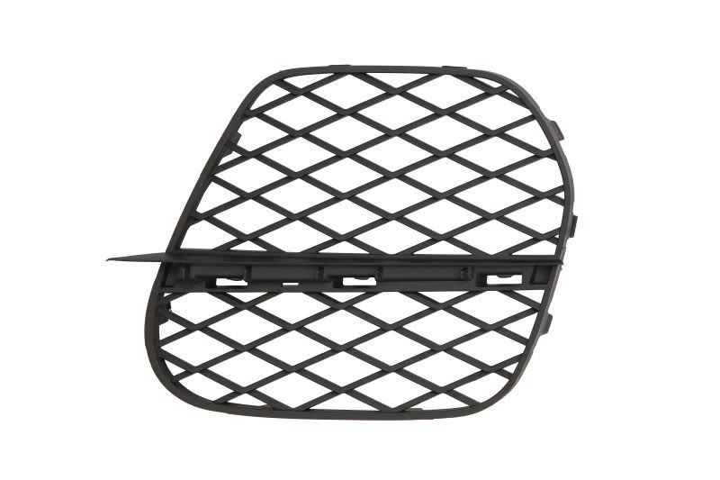 Front Right Bumper Grille For: BMW X5 E70 10/04-06/13