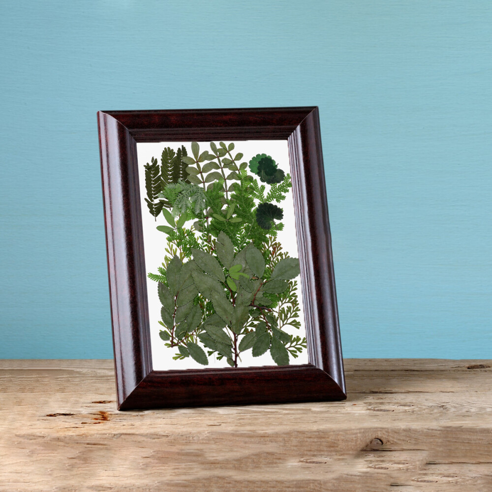 Dry Flowers Pressed Flowers Resin Dried Flowers Resin Jewelry eBay