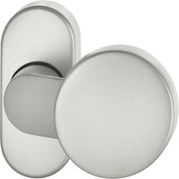 Fsb Pt TüRknopf 07 0809 A. Ros. Oval F69