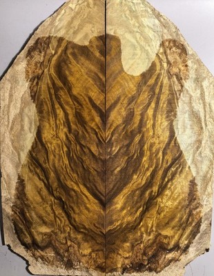 5A  Telecaster Top Veneer Golden Phoebe Wood Bookmatched Set Luthier Supply