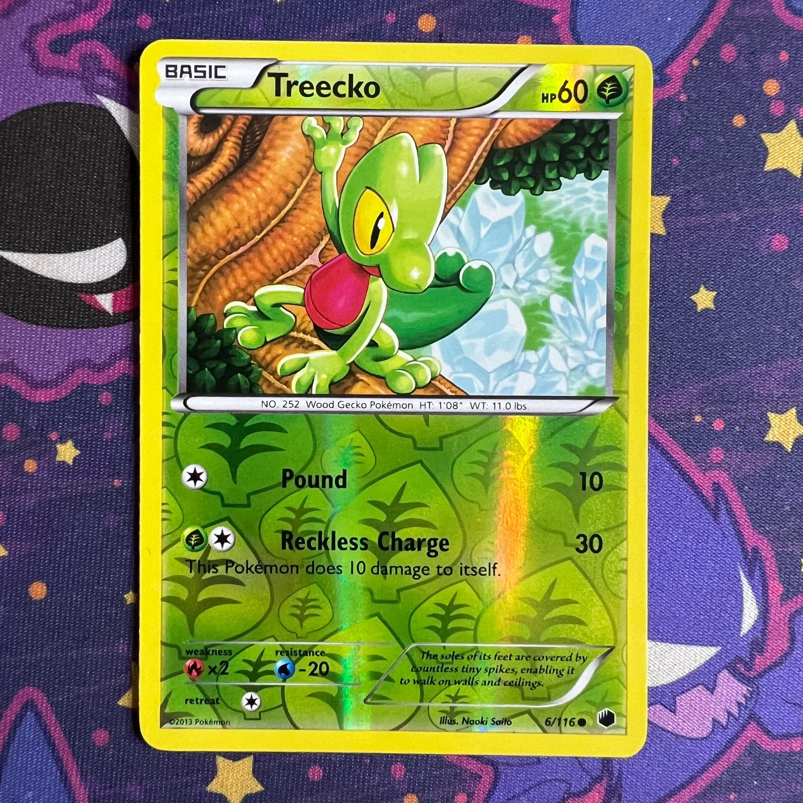 Treecko 6/116 Plasma Freeze Reverse Holo Pokémon Card LP